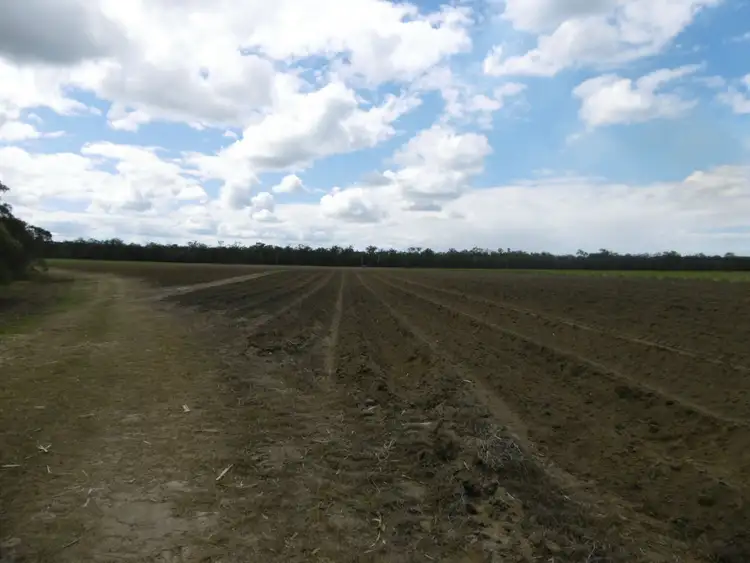 Fifth view of Homely rural property listing, 430-514 Foleys Road, North Isis QLD 4660