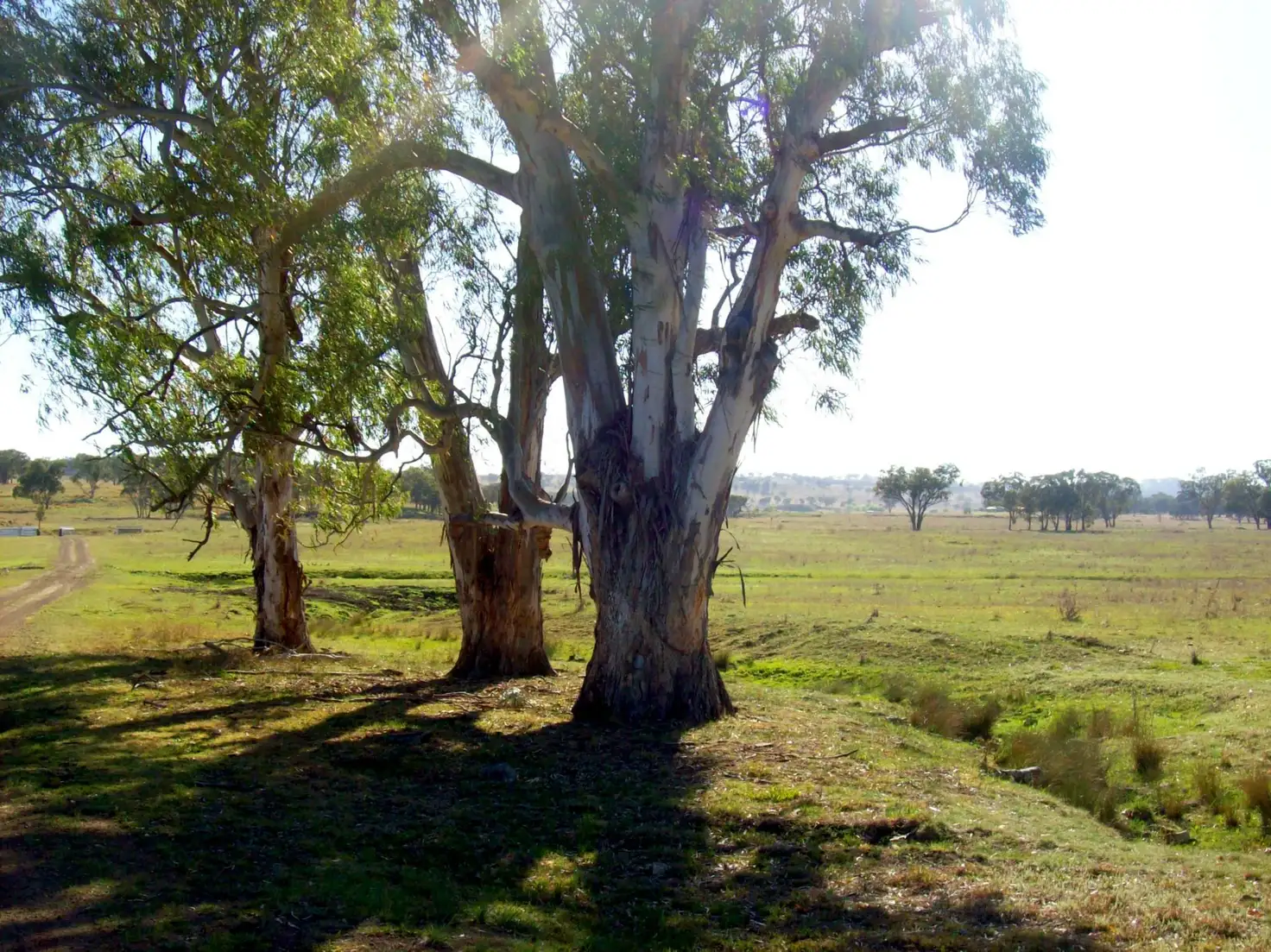 Main view of Homely rural property listing, Address available on request