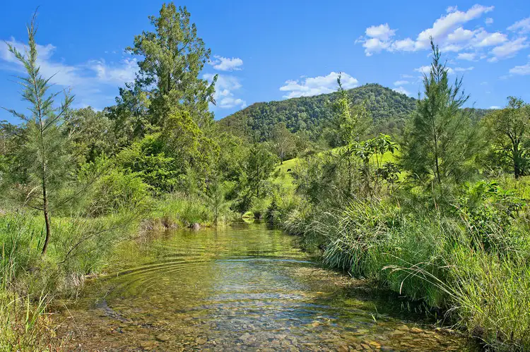 Second view of Homely rural property listing, 430 Kindee Road, Kindee NSW 2446