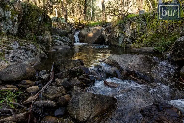 Sixth view of Homely rural property listing, 49 Perkins Rd, Lucyvale VIC 3691