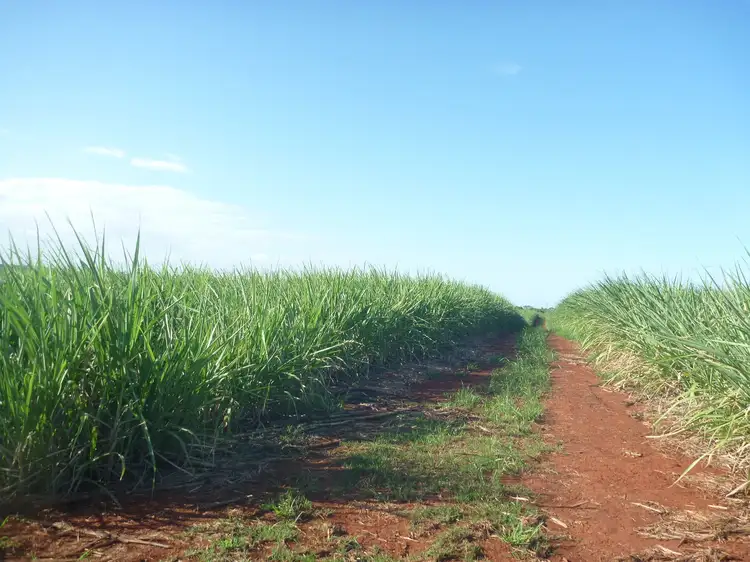 142 Abington Road, Abington QLD 4660