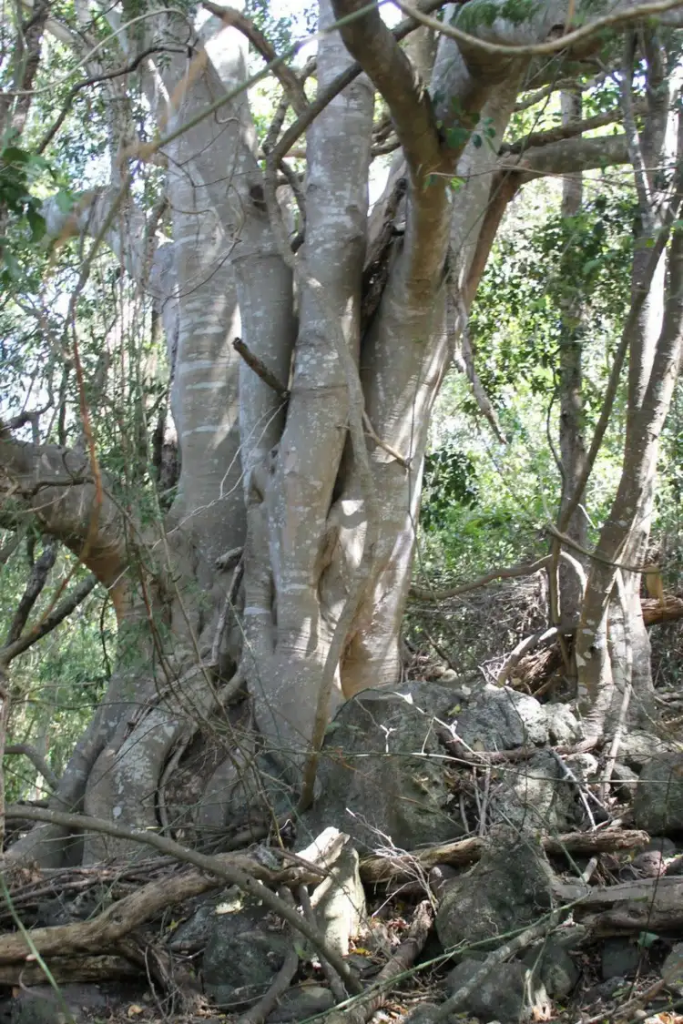 Third view of Homely land listing, Address available on request