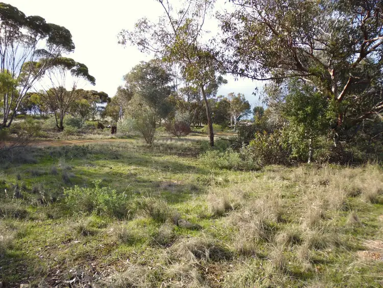Fifth view of Homely land listing, L1 Hatters Road, Crystal Brook SA 5523