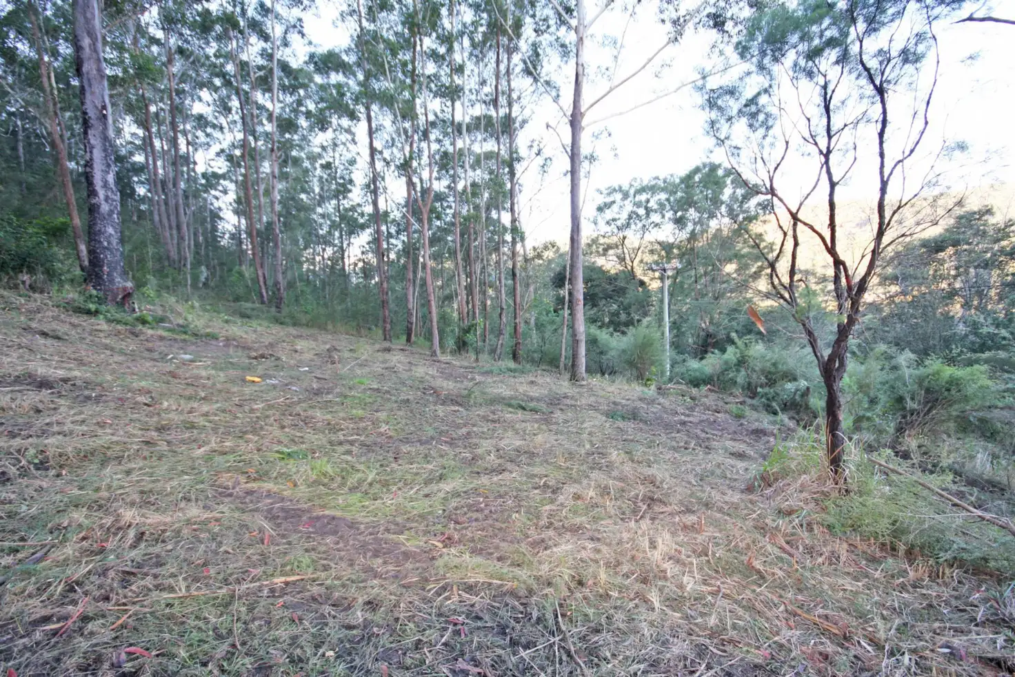 Main view of Homely land listing, 887 St Albans Road, Lower Macdonald NSW 2775