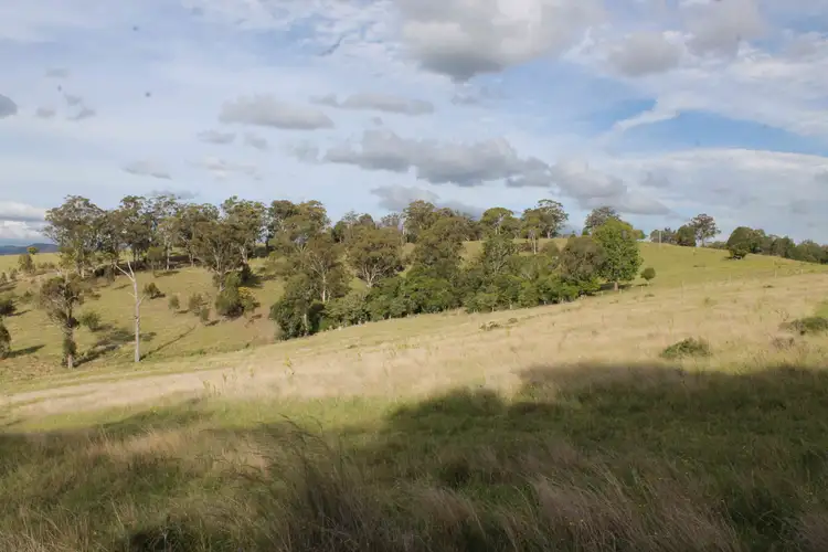 Seventh view of Homely rural property listing, 975 Killarney Barlows Gate Rd, Elbow Valley QLD 4370