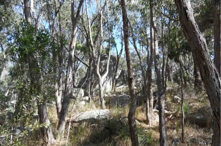 Fifth view of Homely rural property listing, 113 Pegum Road, Stanthorpe QLD 4380