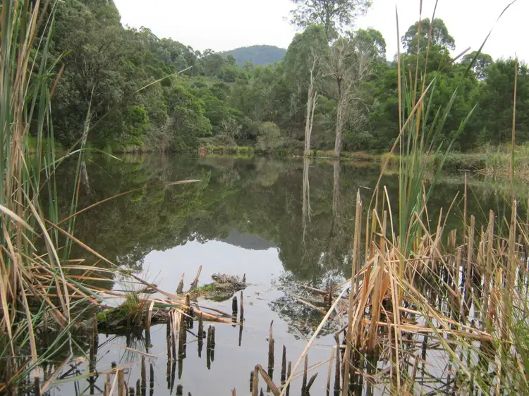 Second view of Homely rural property listing, 1099 Upper Brogo Rd, Brogo NSW 2550