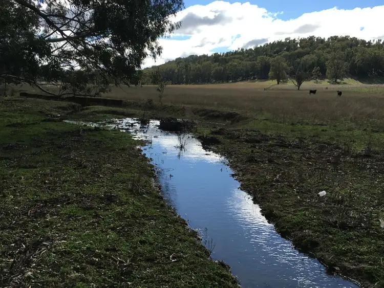 Seventh view of Homely rural property listing, 472 Buckaroo Road, Mudgee NSW 2850