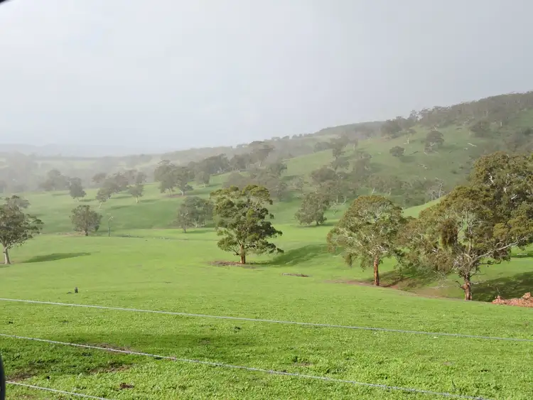 Seventh view of Homely rural property listing, Lot 18 Tonto Road, Hay Flat SA 5204