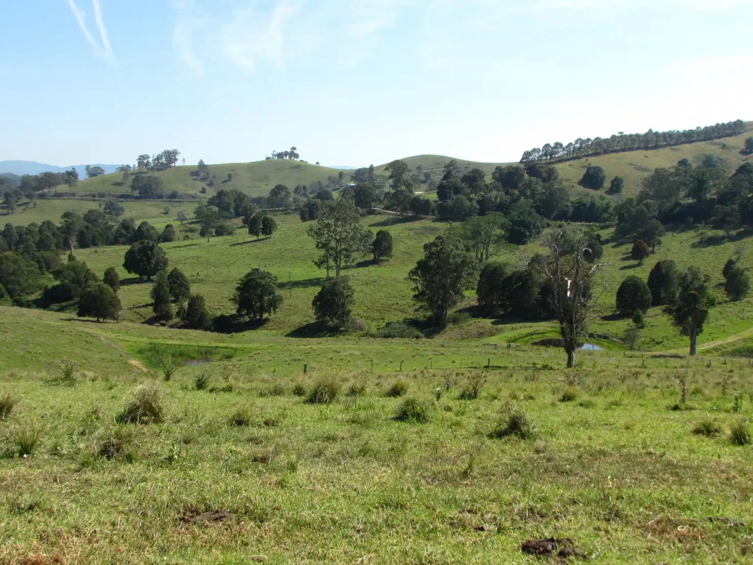 Main view of Homely rural property listing, 730 Bunyah Road, Bunyah NSW 2429