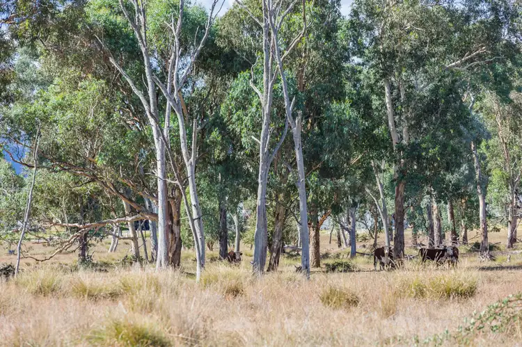 Seventh view of Homely rural property listing, LCA 2 & Lot 2 PS 3304 Sugarloaf Road, Corryong VIC 3707