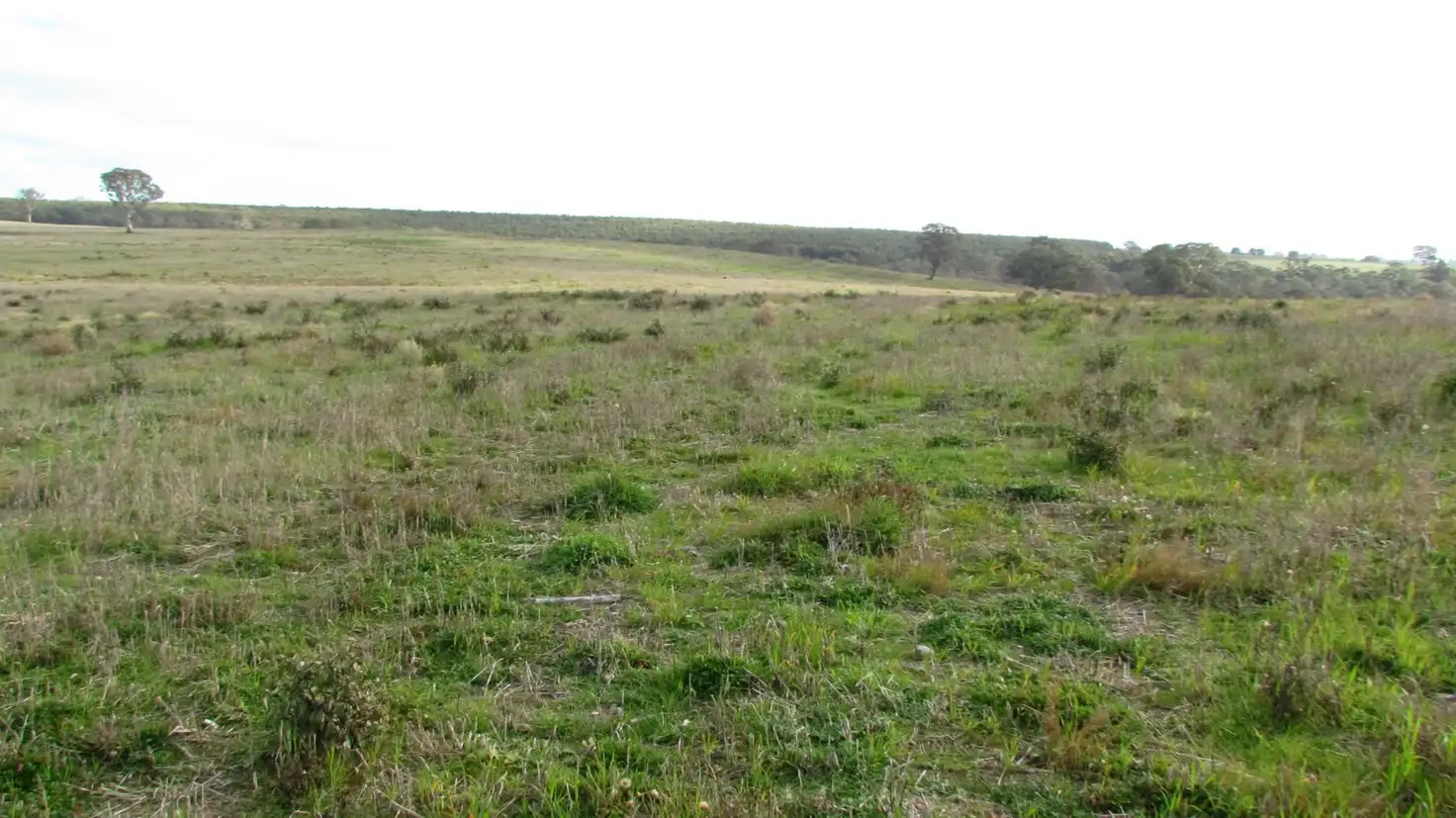 Main view of Homely rural property listing, 1546 Chetwynd St East, Chetwynd VIC 3312