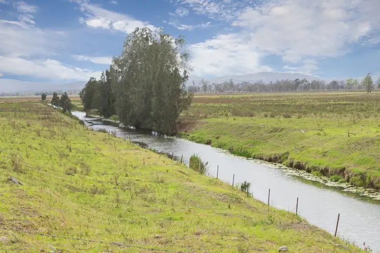 Fifth view of Homely rural property listing, 1775 Pacific Highway, Ulmarra NSW 2462