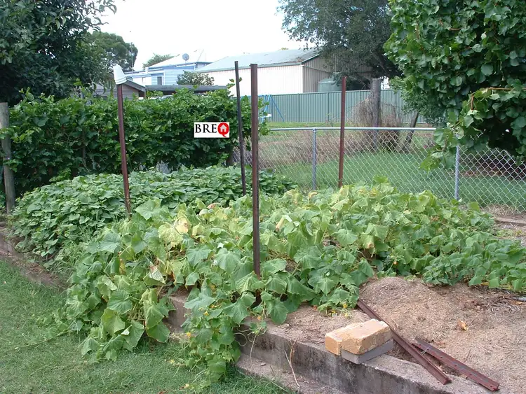 Seventh view of Homely land listing, 55 Cadell Street, Wondai QLD 4606