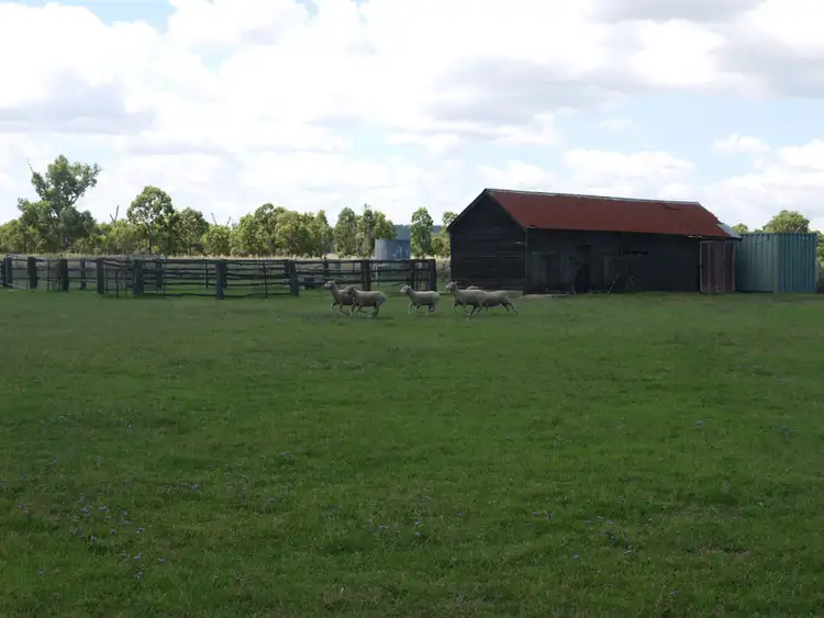 Seventh view of Homely house listing, 34 Bony Mountain Road, Bony Mountain QLD 4370