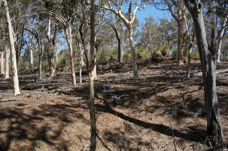 Seventh view of Homely land listing, 149 Ridley Circle, Toodyay WA 6566