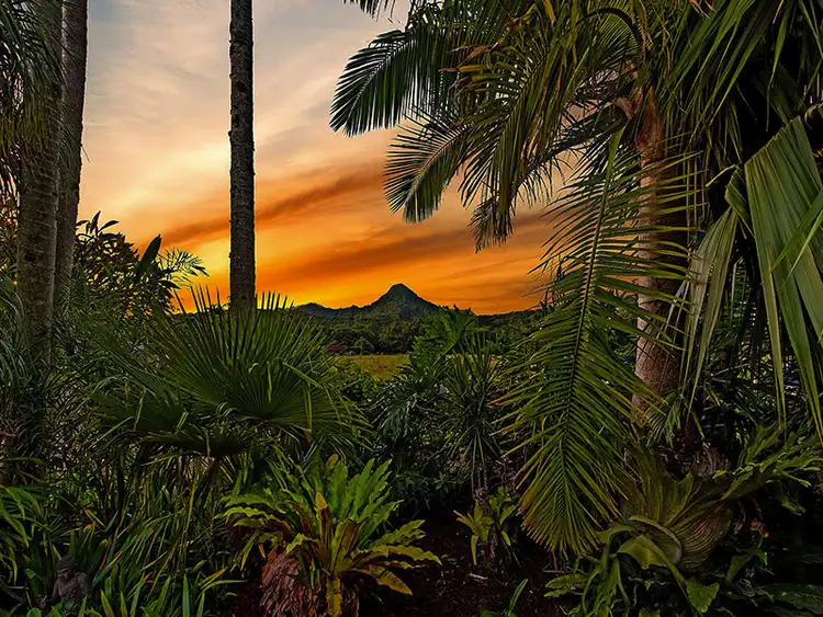 Second view of Homely house listing, 44 Main Arm Rd, Mullumbimby NSW 2482