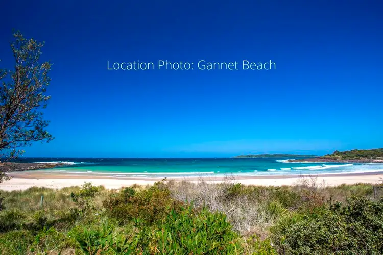 Third view of Homely house listing, 26 Malibu Drive, Bawley Point NSW 2539