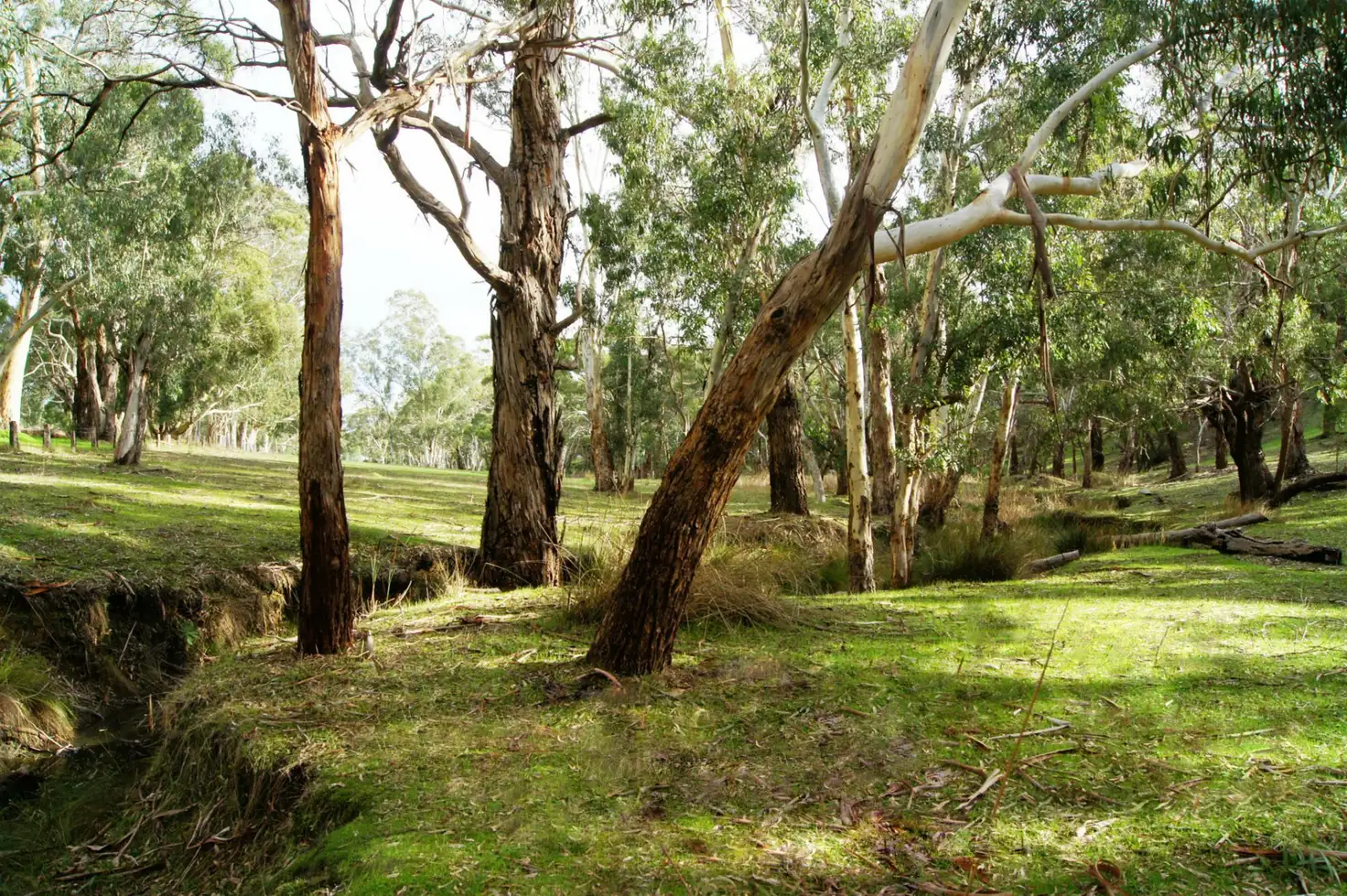 Main view of Homely rural property listing, 28 Field Road, Echunga SA 5153