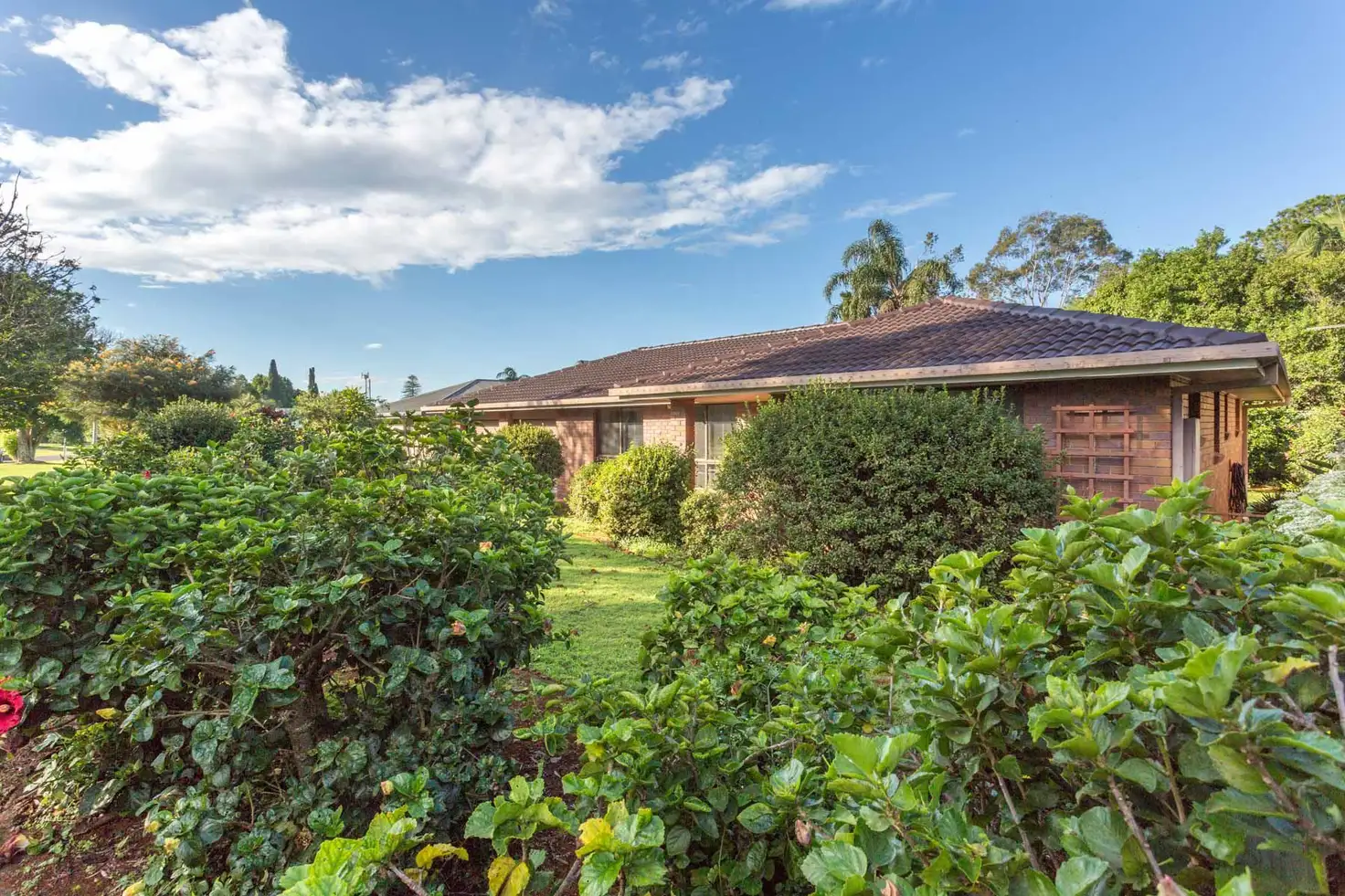 Main view of Homely house listing, 17 Mellis Circuit, Alstonville NSW 2477