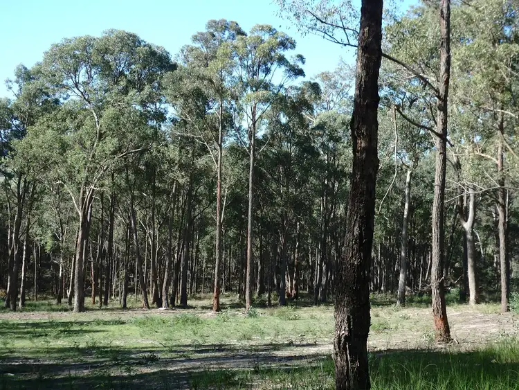 Fourth view of Homely land listing, 2, 680/Orrs Rd, Bairnsdale VIC 3875