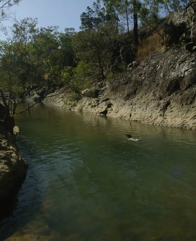 Seventh view of Homely rural property listing, 3431 Silver Valley Road, Herberton QLD 4887