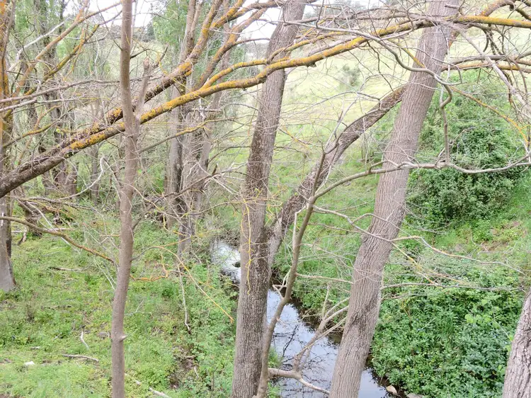 Third view of Homely rural property listing, 73 Yoho Road, Delamere SA 5204