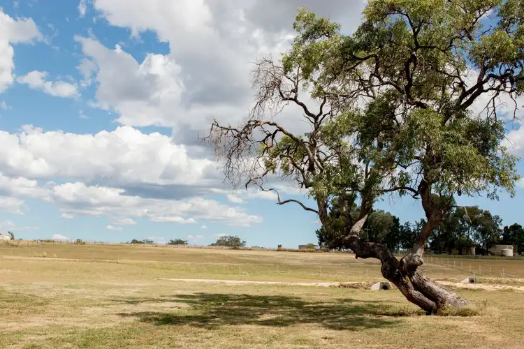Fourth view of Homely land listing, L23 Talbragar Close, Inverell NSW 2360
