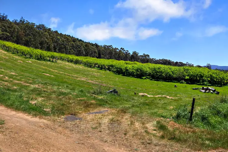 Third view of Homely land listing, 142178/3 Scotts Road, Geeveston TAS 7116