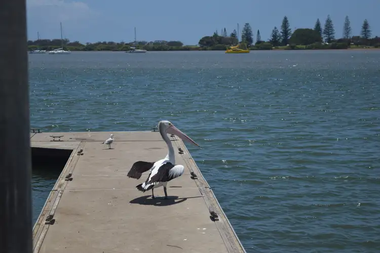 Fifth view of Homely land listing, 18 Byron St, Burnett Heads QLD 4670