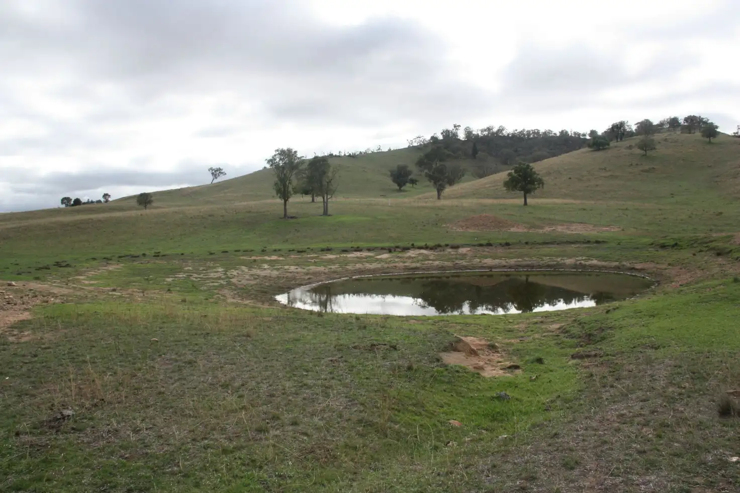 Main view of Homely rural property listing, 1168 GOOLMA Road, Mudgee NSW 2850
