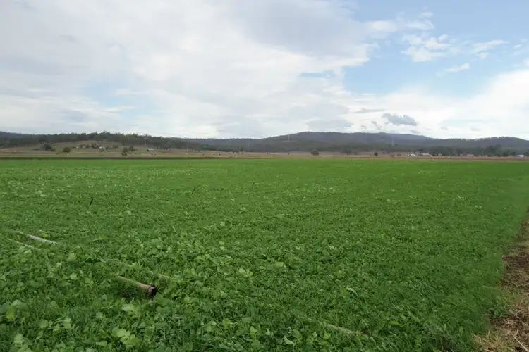 Second view of Homely rural property listing, Address available on request