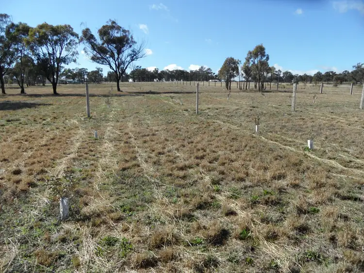 Fifth view of Homely land listing, Lot 10 Greaney Road, Greenlands QLD 4380