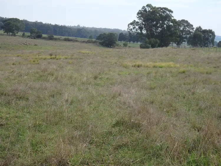 Fifth view of Homely land listing, 700 Nicholson-sarsfield Road, Sarsfield VIC 3875