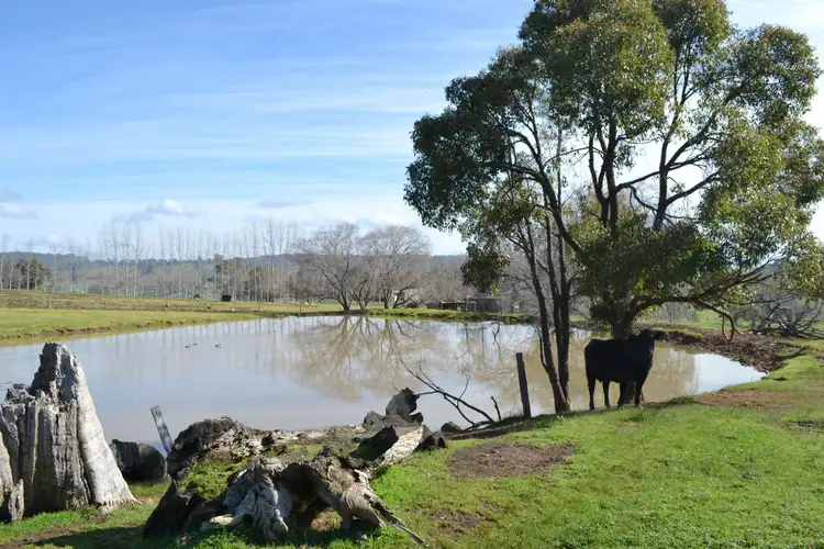 Seventh view of Homely rural property listing, Lot 483 Hawterville Road, Mullalyup WA 6252