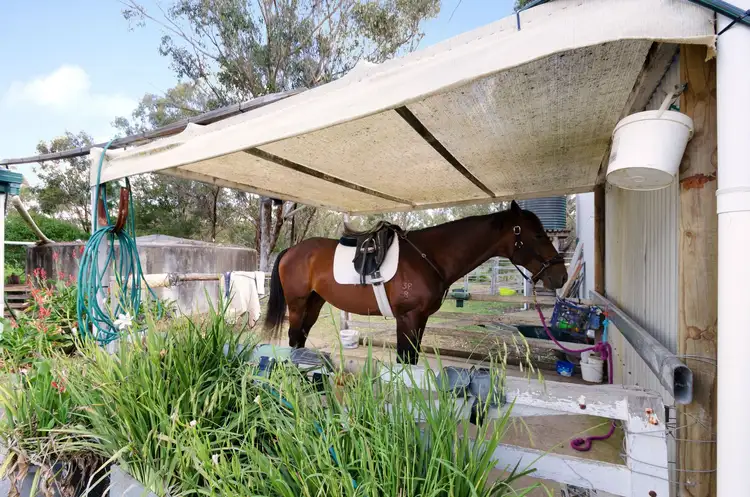 Sixth view of Homely rural property listing, 347 Old Stanthorpe Road, Warwick QLD 4370