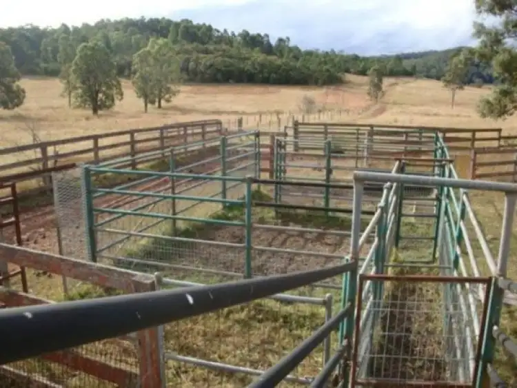 Third view of Homely rural property listing, 432 Putty Valley Road, Putty NSW 2330