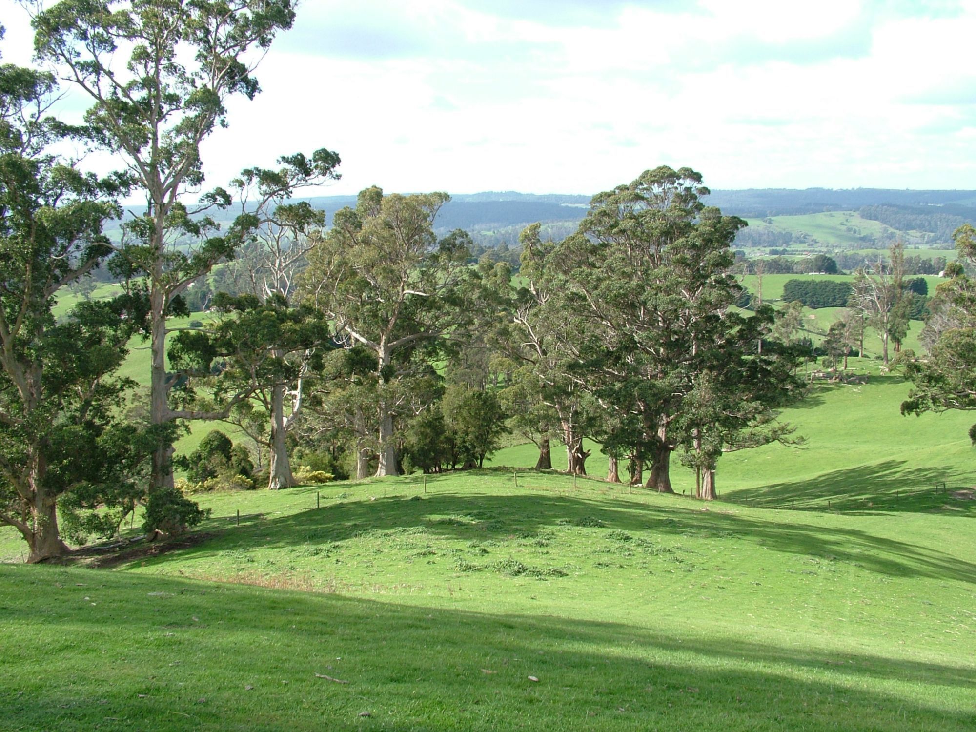 Seventh view of Homely rural property listing, 67 Rowleys Road, Karoola TAS 7267