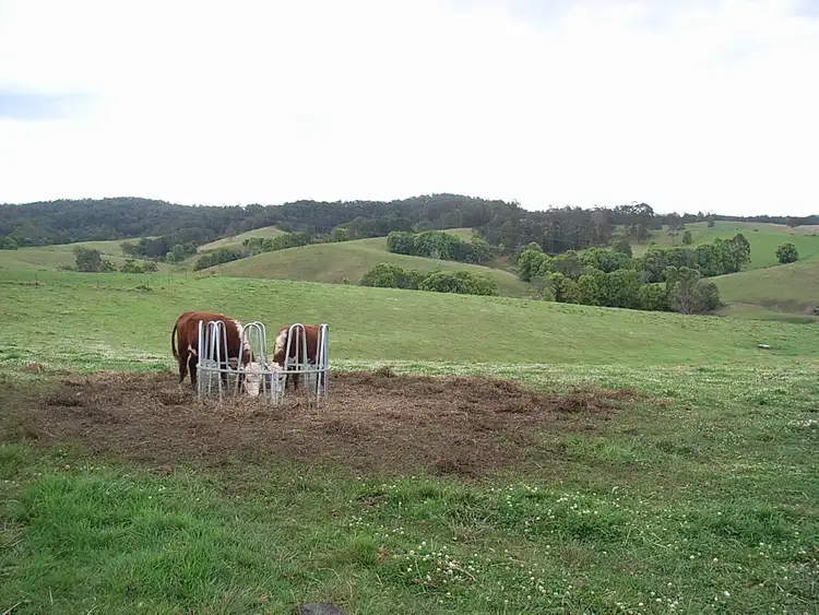 Sixth view of Homely rural property listing, 586 CONGARINNI Road South, Congarinni NSW 2447