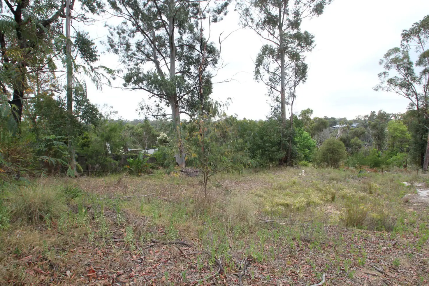 Main view of Homely land listing, 95 Buena Vista Road, Winmalee NSW 2777