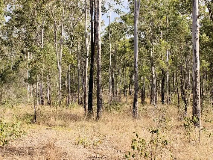 Fifth view of Homely land listing, 109 Gilbert Street, Doongul QLD 4620