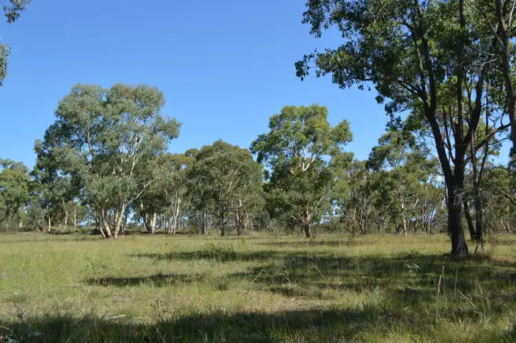 668 Cooper Drive, Kandos NSW 2848