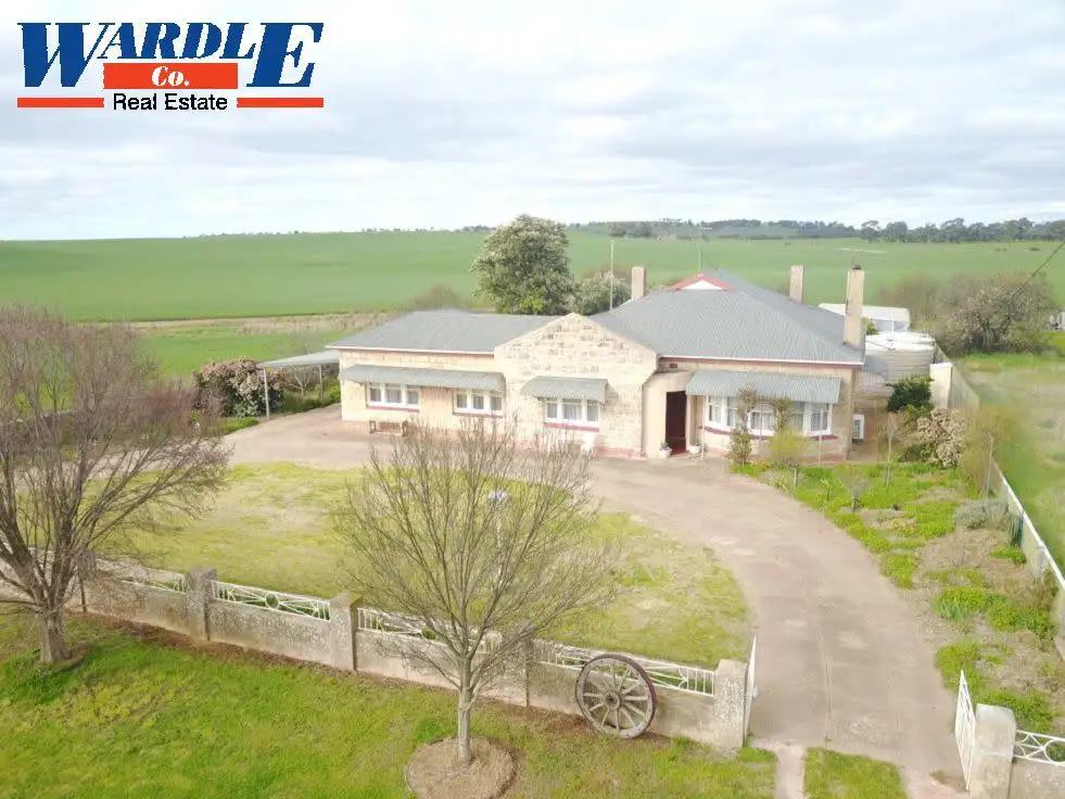 Main view of Homely house listing, 38 Tinline Road, Murray Town SA 5481