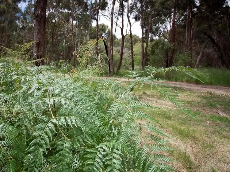Seventh view of Homely land listing, 45 Salisbury Road, Mount Macedon VIC 3441