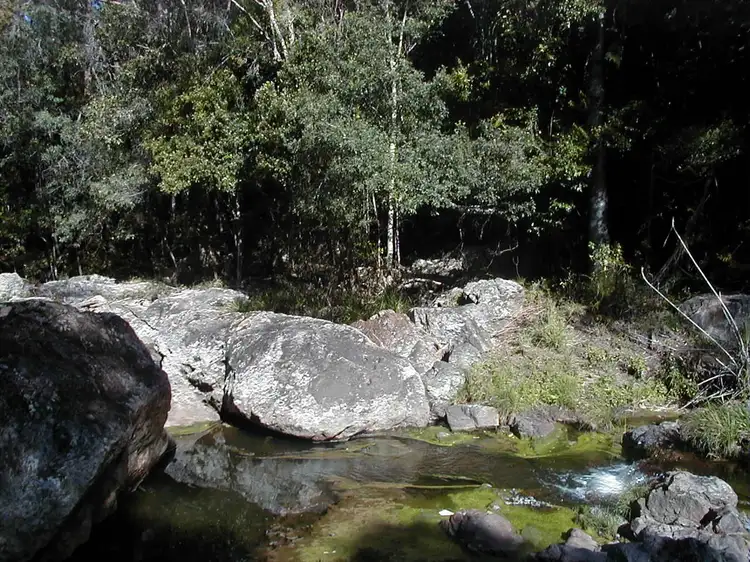 Sixth view of Homely land listing, 99 Simba Road, West Woombye QLD 4559