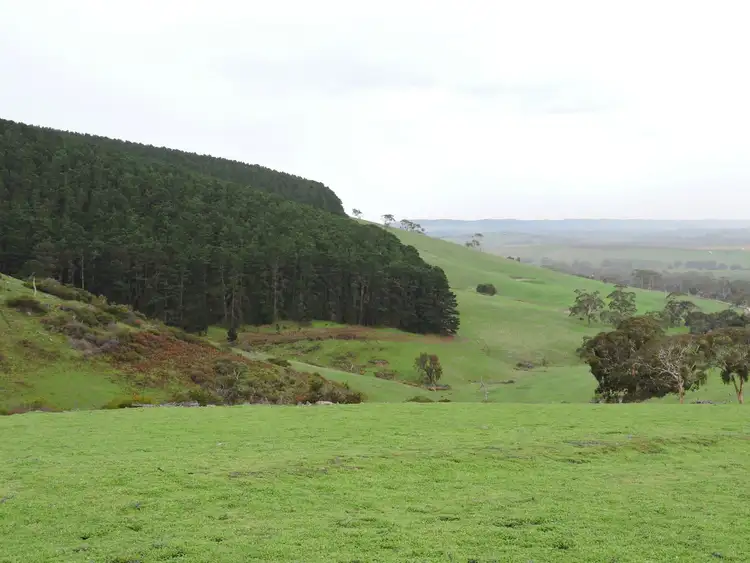 Sixth view of Homely rural property listing, Lot 8 Hay Flat Road St, Hay Flat SA 5204