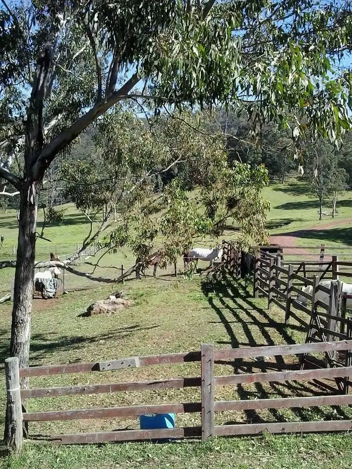 Sixth view of Homely rural property listing, 1 Yengo Drive, Putty NSW 2330