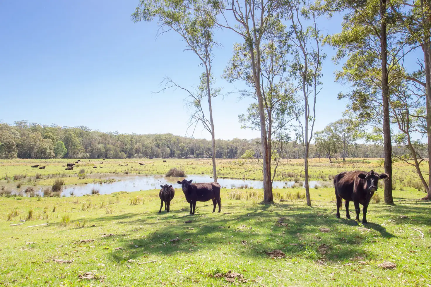Main view of Homely rural property listing, Address available on request