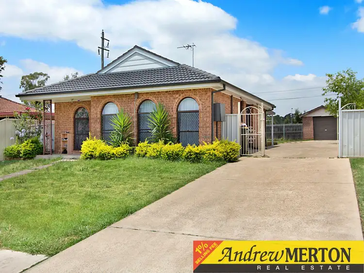 38 Don Mills Avenue, Hebersham NSW 2770