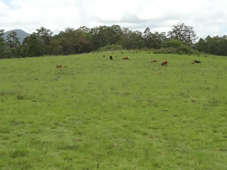 Fourth view of Homely rural property listing, 1146 Lynchs Creek Road, Kyogle NSW 2474